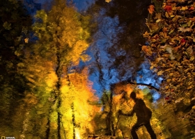 National Geographic  Collection WallPapers  30