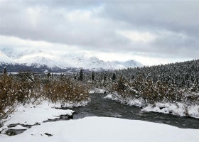 Beautiful Winter Wallpapers 11