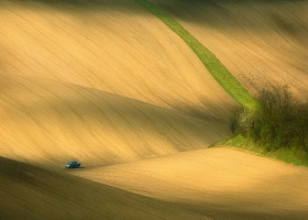 สีสันต์และความสวยงามจากธรรมชาติ