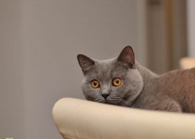 National Geographic  Collection WallPapers 8