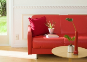 เพิ่มสีเขียวในบ้านให้สดชื่น  3