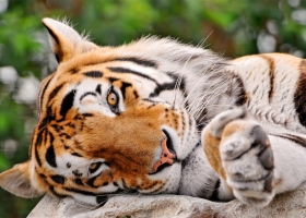 The Best HD Wallpapers Pack 4