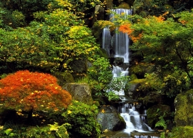 Waterfalls Scenes HQ Wallpaper 2