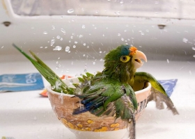 ภาพจาก  National Geographic 1