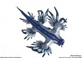 National Geographic Wallpapers Collection 2007-6