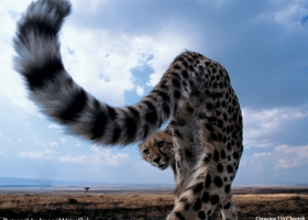 National Geographic Wallpapers Collection 2005 -5