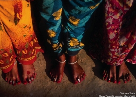 National Geographic Wallpapers Collection 2006 -2