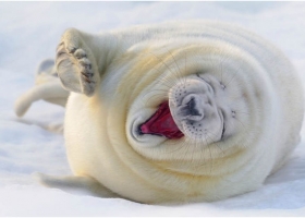 amazing photos 2012 ชุดที่ 3