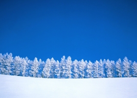 Beautiful Winter Wallpapers 2