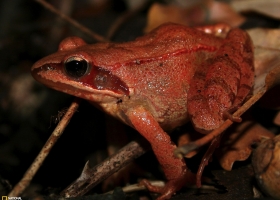 National Geographic  Collection WallPapers  21