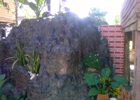 จัดสวนตามบ้าน