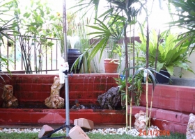 ตกแต่งบ้าน-การจัดสวนสวย 3