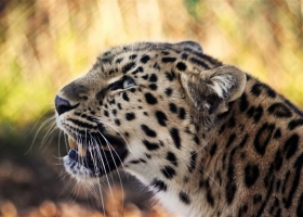 HD Pack Beautiful Wallpapers 1