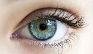 วิธีเข้าดู @ กระทู้มาใหม่ - ตอบล่าสุด - โพสต์ของฉัน