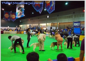 งาน Thailand International Dog Show 2012