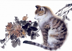 ภาพวาดภู่กันจีน สวยงามมาก ชุด แมว 1