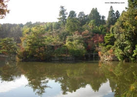 Japanese Parks In Kyoto Wallpapers