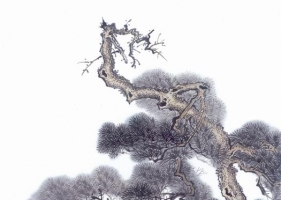 ภาพวาดภู่กันจีน สวยงามมาก ชุด ต้นไม้ และหินผา 2