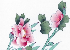 ภาพวาดภู่กันจีน สวยงามมาก ชุดนกกับดอกไม้ 5